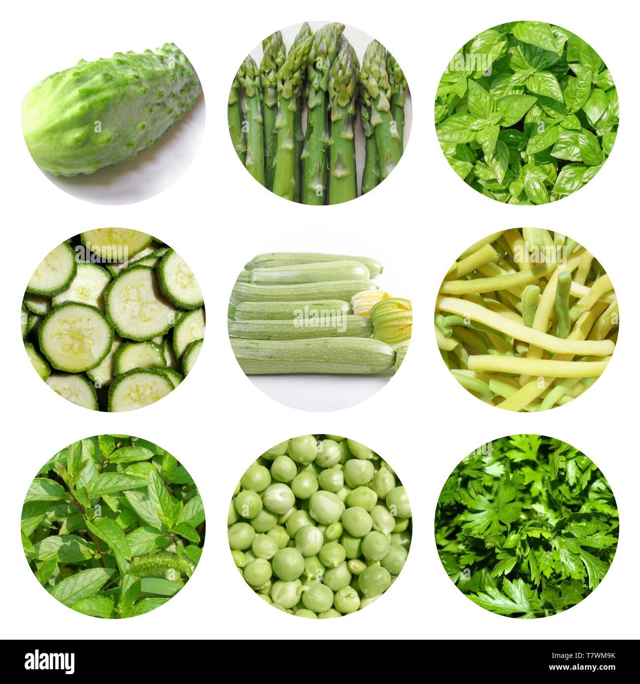 Cibo vegetariano collage: verde le verdure e le erbe compreso il basilico, asparagi, cetriolo, fagiolini, zucchine, prezzemolo, piselli verdi e menta pepe Foto Stock