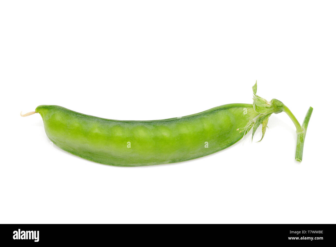 Verde fagiolo di soia isolata su sfondo bianco Foto Stock