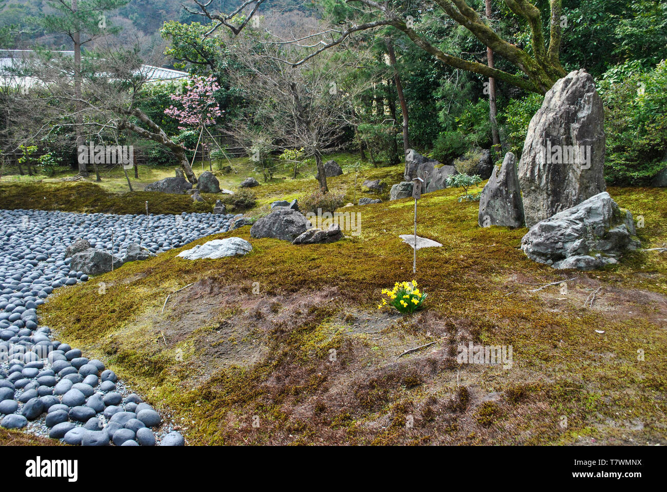 Animali Che Simboleggiano La Morte Animali che simboleggiano immagini e fotografie stock ad alta