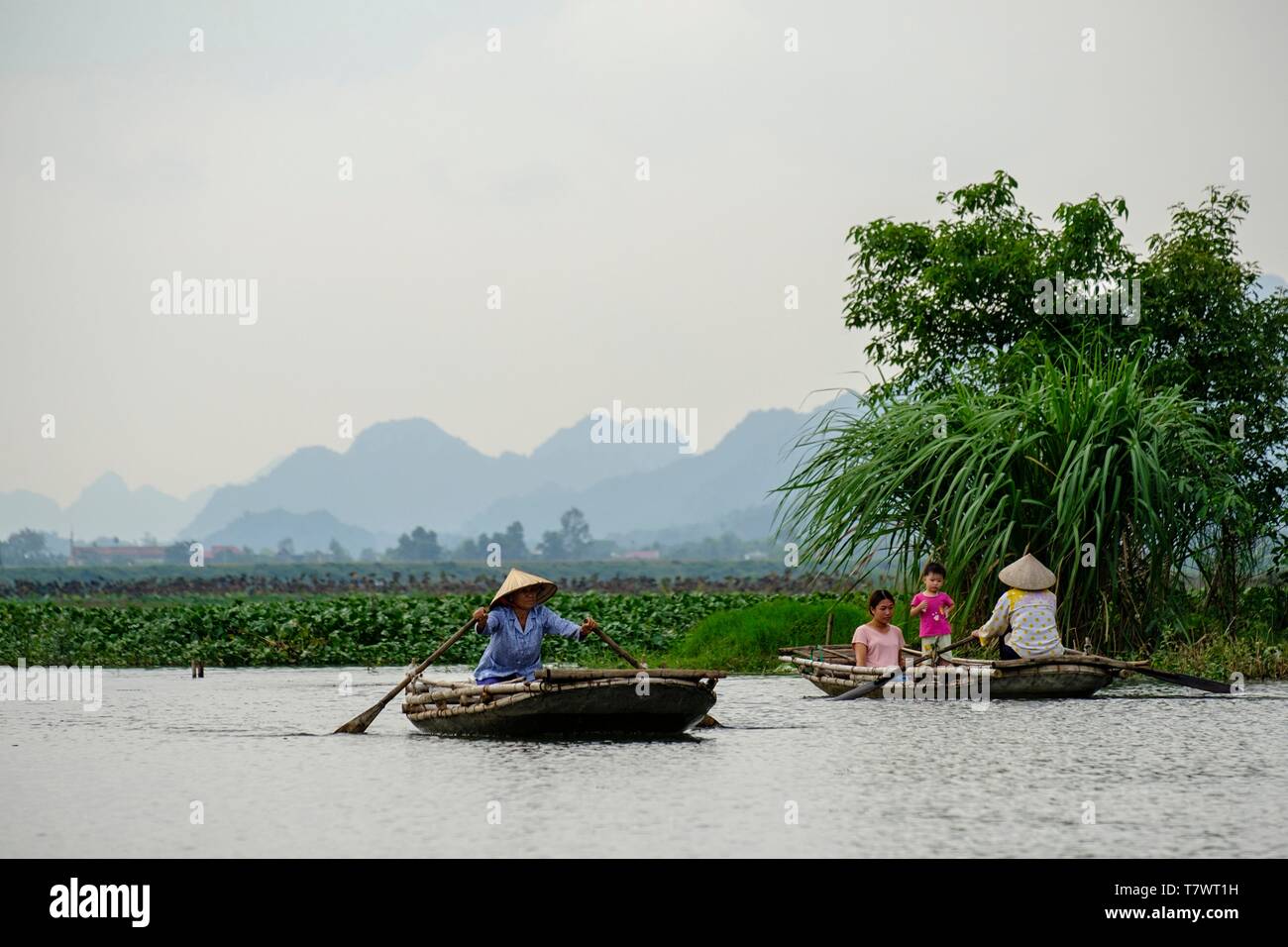 Il Vietnam, la baia di Ha Long sulla terra, Van lungo, boatman Foto Stock