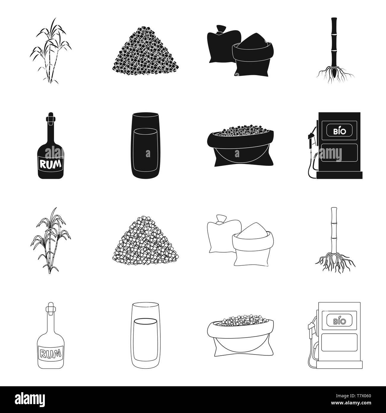 Bush,pezzo,bag,root,rum,succhi di frutta,benzina,palm,granulata,sabbia,sistema,bottiglia,l'ugello,crescita,marrone,dolcezza,stelo,alcol,melassa,il carburante,ramo,jaggery,germoglio,vetro,bio,il diabete,cibo,metropolitana,bung,liquido,agriturismo,l'agricoltura,saccarosio,technology,la canna da zucchero, di canna da zucchero,,campo,impianto,plantation,impostare,vettore,icona,immagine,isolato,raccolta,design,l'elemento,graphic,segno vettori vettore , Illustrazione Vettoriale