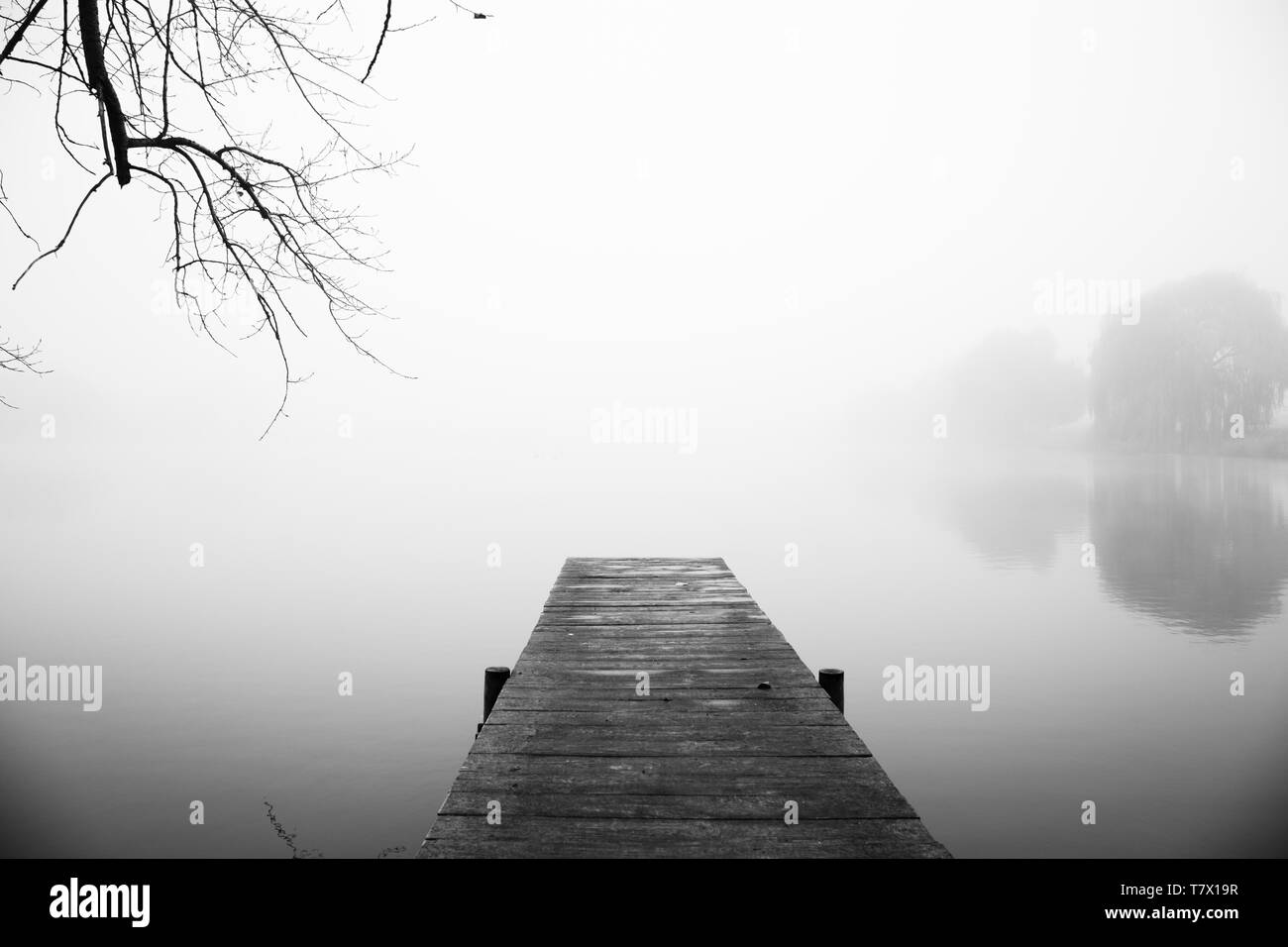 Un dock sul lago nella nebbia. L'acqua e il luogo sono circondati dal silenzio Foto Stock