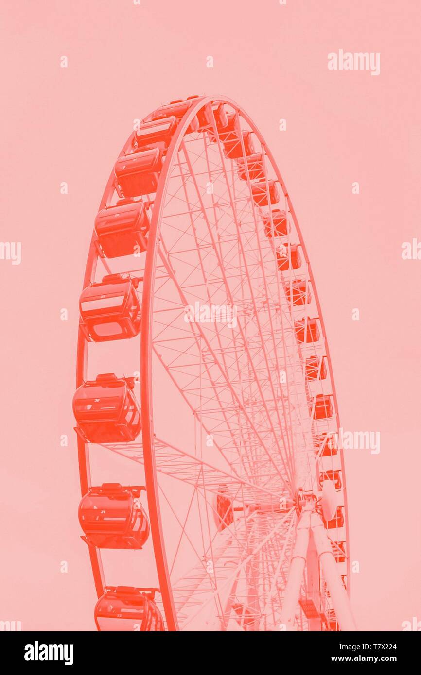 Dark Coral Pink ruota panoramica Ferris su un corallo chiaro colore di sfondo Foto Stock