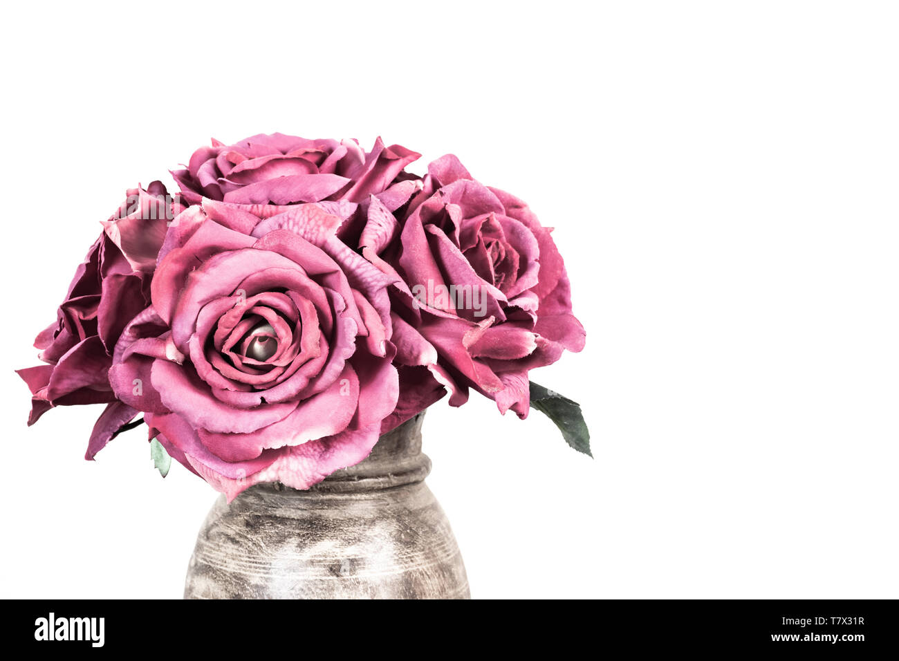 Bouquet di rose rosa in vaso su sfondo bianco. Foto Stock