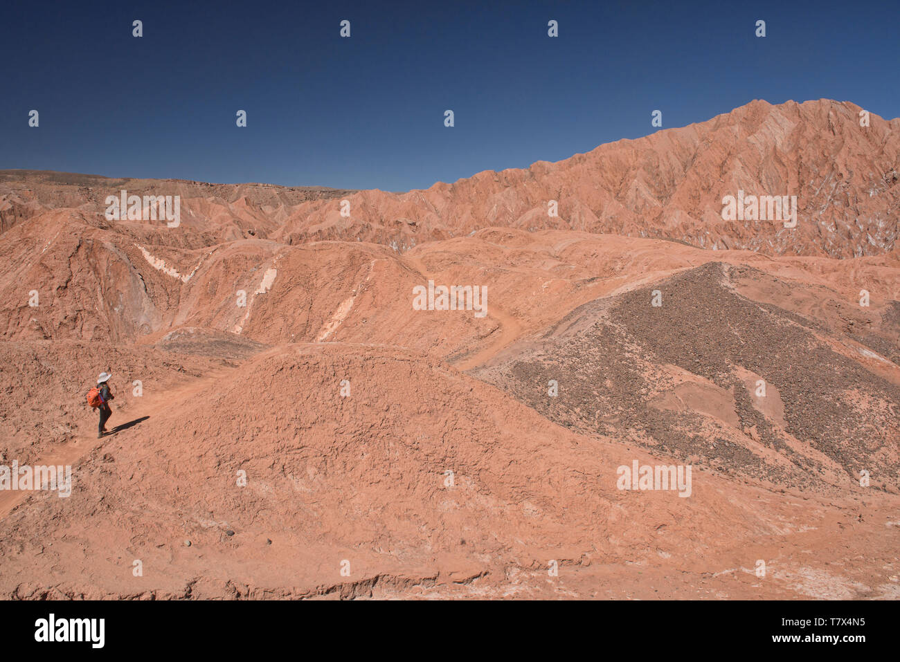 Trekking attraverso il fantastico paesaggio del deserto nella Valle di Marte, San Pedro de Atacama, Cile Foto Stock