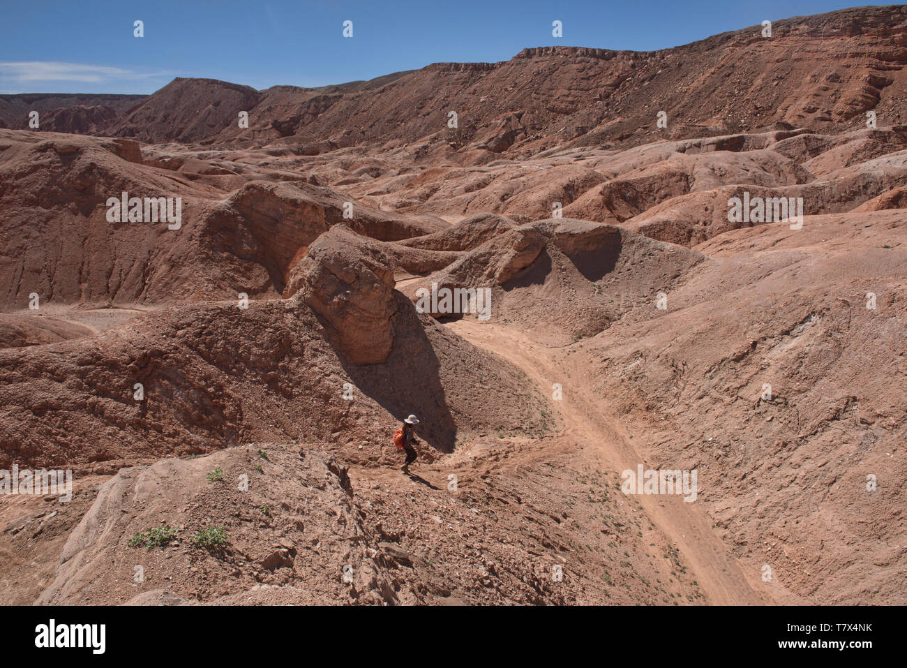 Trekking attraverso il fantastico paesaggio del deserto nella Valle di Marte, San Pedro de Atacama, Cile Foto Stock