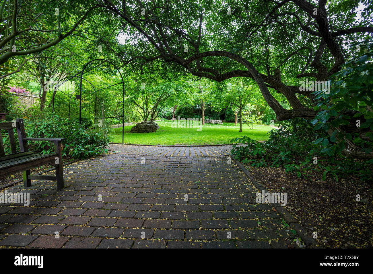 All'interno della Ernest Wilson Memorial Garden, Chipping Campden, Inghilterra Foto Stock
