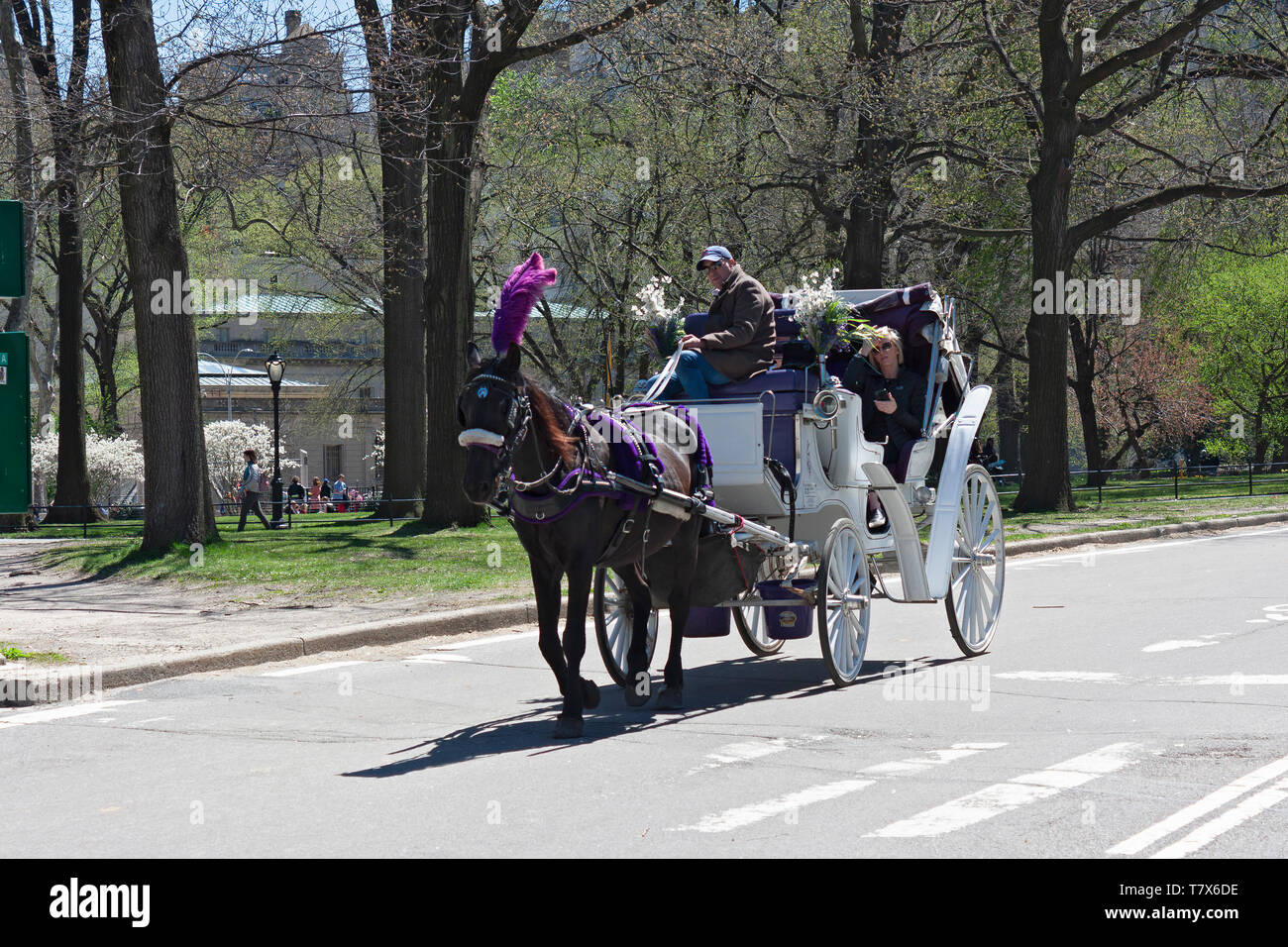 Central Park Carrozza Ride, Upper Manhattan, New York City, Stati Uniti d'America Foto Stock
