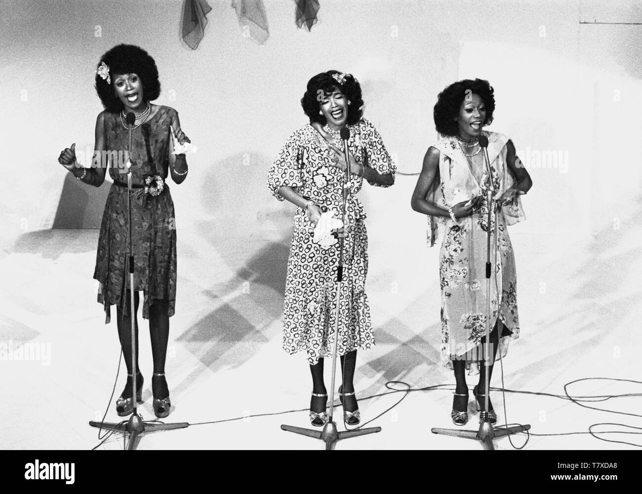 Hilversum, Paesi Bassi - ca 1975: American gruppo vocale Il Pointer Sisters poste in uno studio televisivo di Hilversum, Paesi Bassi nel 1975. (Foto di Gijsbert Hanekroot) Foto Stock