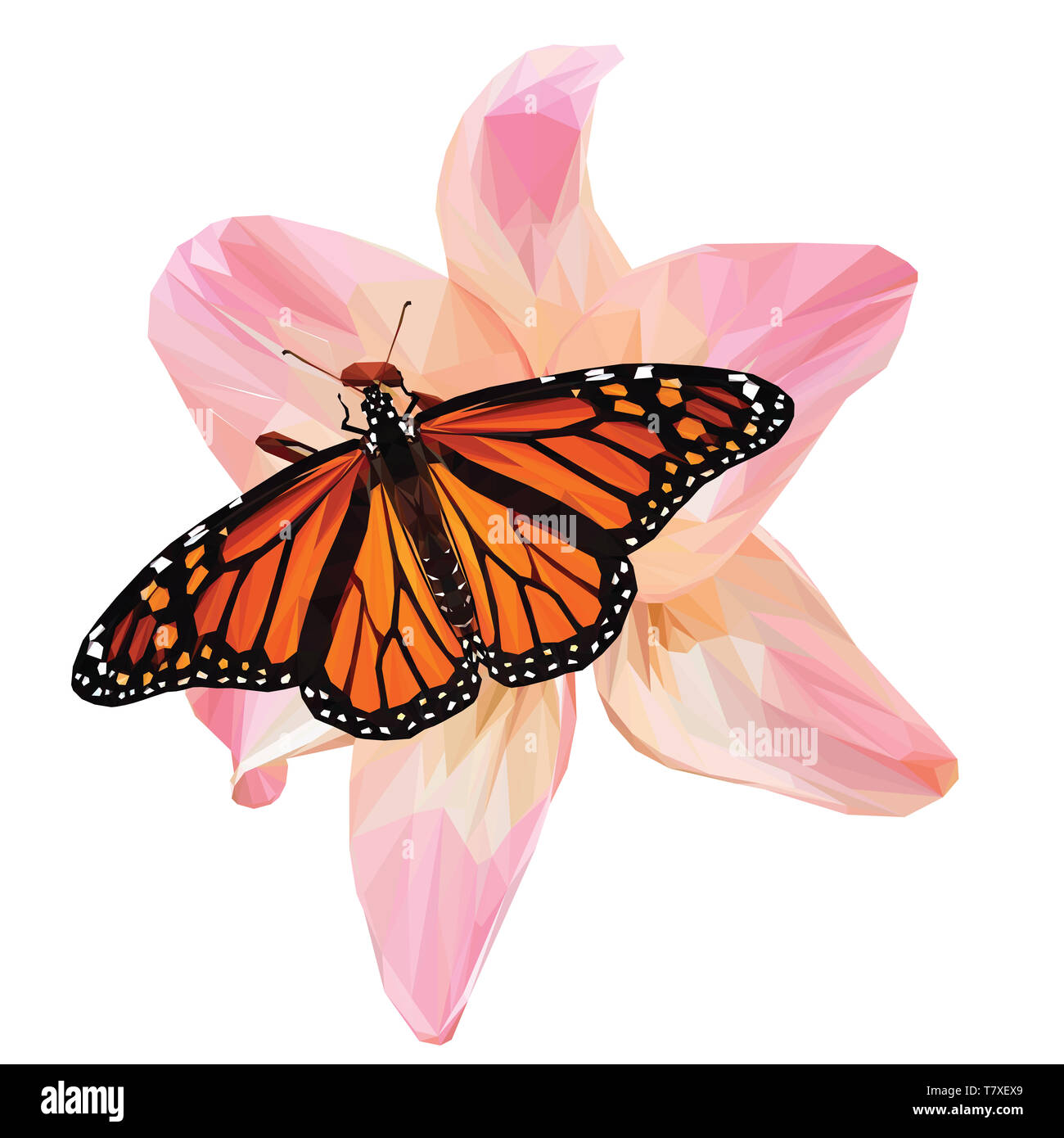 Bassa poli farfalla monarca su un giglio colore rosa Foto Stock