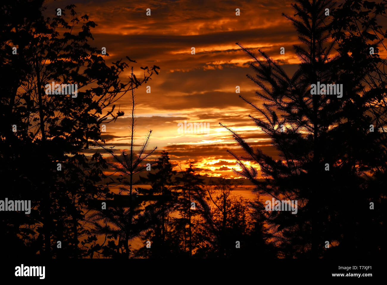 Bella vista al tramonto a Stanley Park a Vancouver BC Canada. Foto Stock