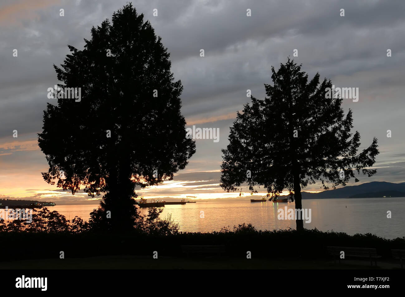 Scena notturna a Stanley Park a Vancouver BC Canada. Foto Stock
