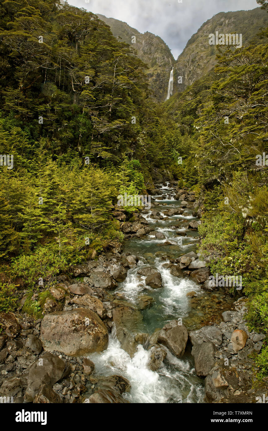 Il paesaggio della Nuova Zelanda - Arthurs Pass, Alpi del Sud, Sud dell'isola, il più alto villaggio di altitudine, sul fiume con cascate. Foto Stock