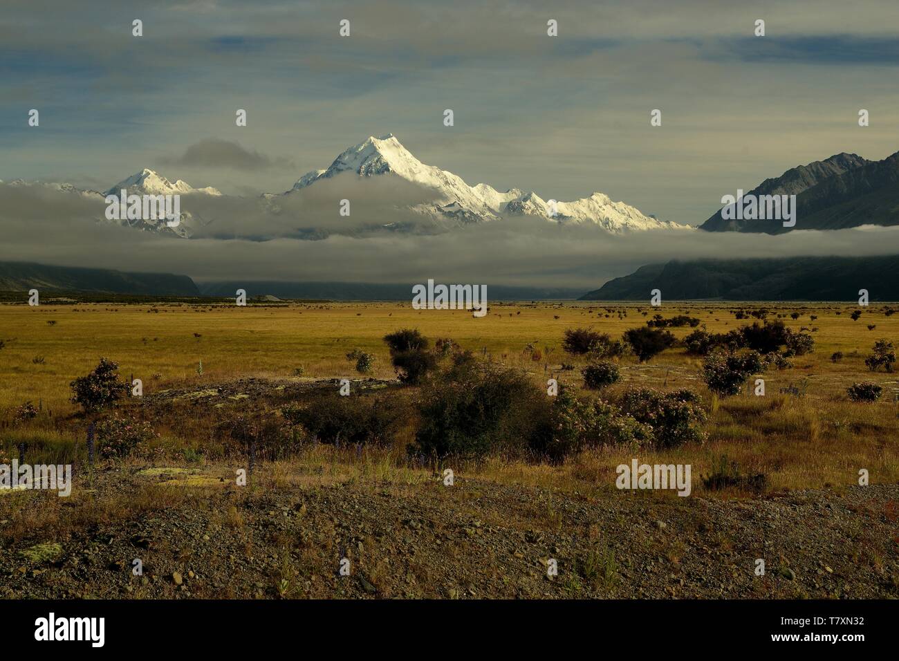 Il paesaggio della Nuova Zelanda - Mt. Cook (Aoraki), Alpi del Sud Foto Stock