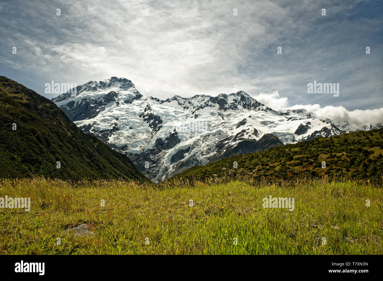 Il paesaggio della Nuova Zelanda - Mt. Cuocere, Aoraki in lingua Maori, Alpi del Sud, Sud Isola, bellissimo scenario di montagna. Foto Stock