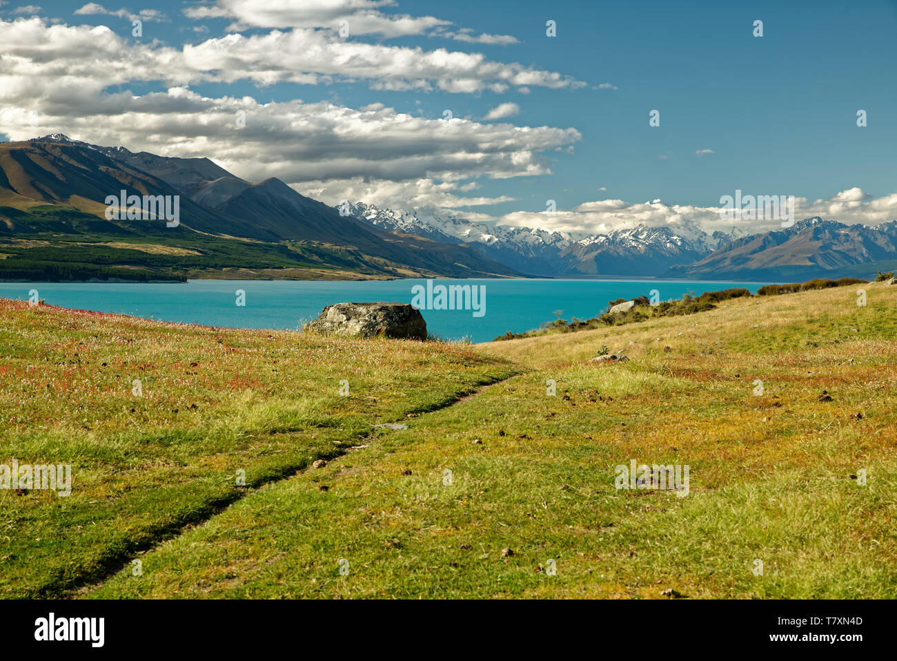 Il paesaggio della Nuova Zelanda - Mt. Cuocere, Aoraki in lingua Maori, con il Lago Pukaki, Alpi del Sud, Sud Isola, bellissimo scenario di montagna. Foto Stock