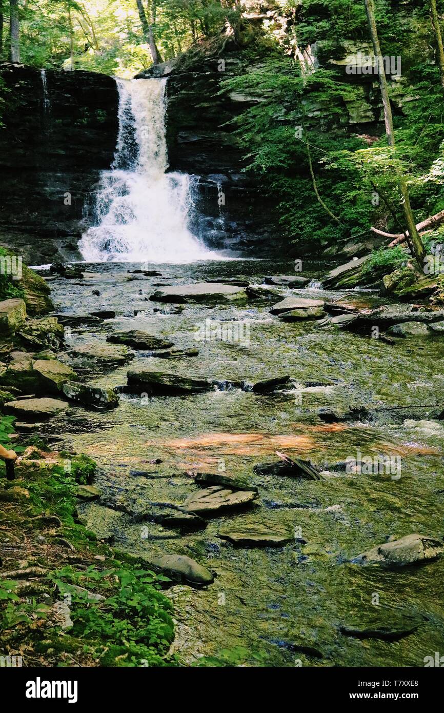Le cascate di Ricketts Glen State Park, PA. Foto Stock