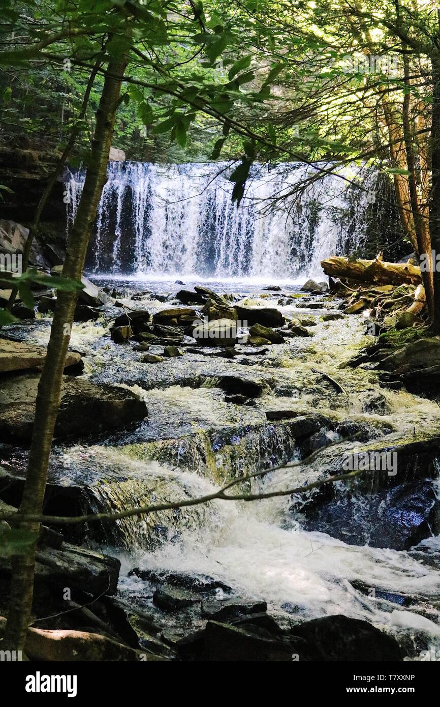 Le cascate di Ricketts Glen State Park, PA. Foto Stock