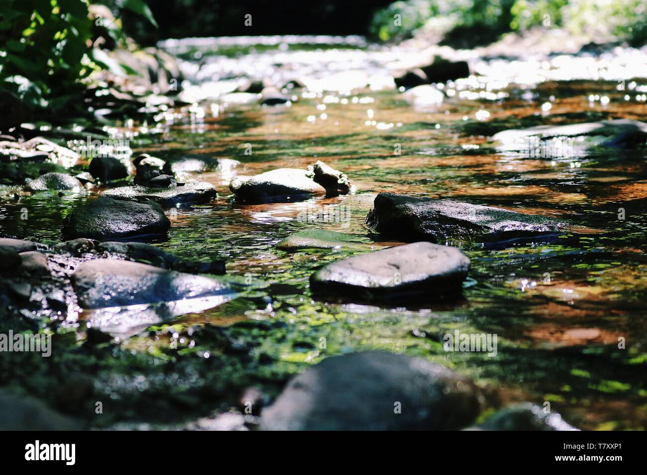 Le cascate di Ricketts Glen State Park, PA. Foto Stock