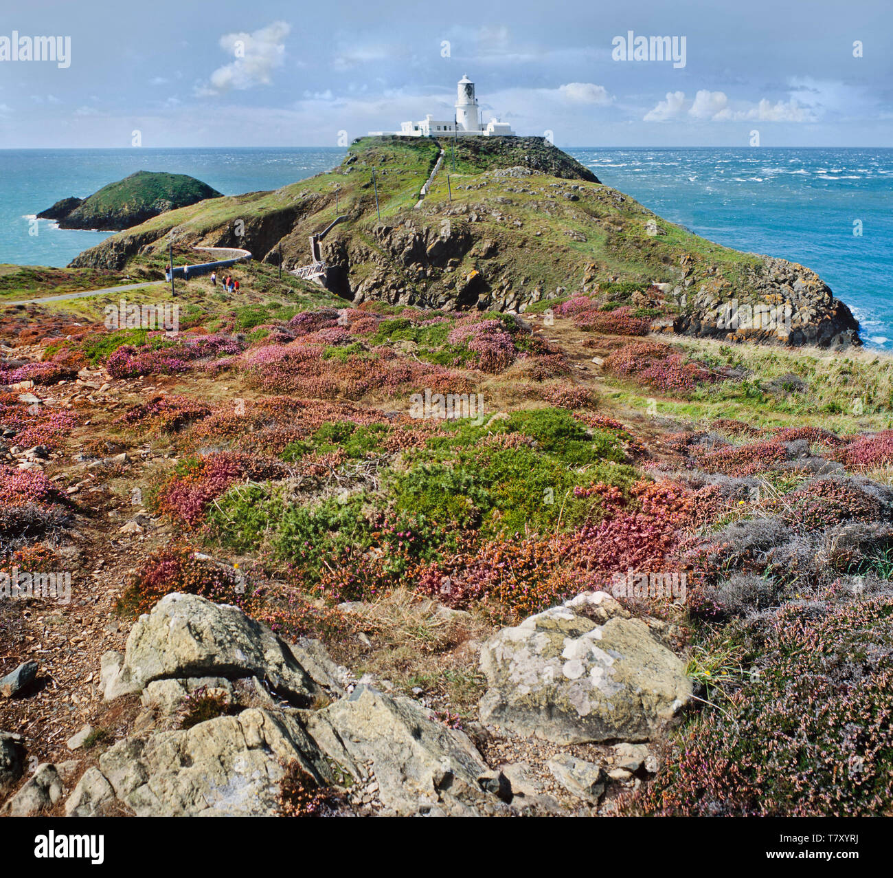 Strumble Head Lighthouse sorge sull'isola rocciosa di Ynys Meicl - o St Michaels Isola Foto Stock