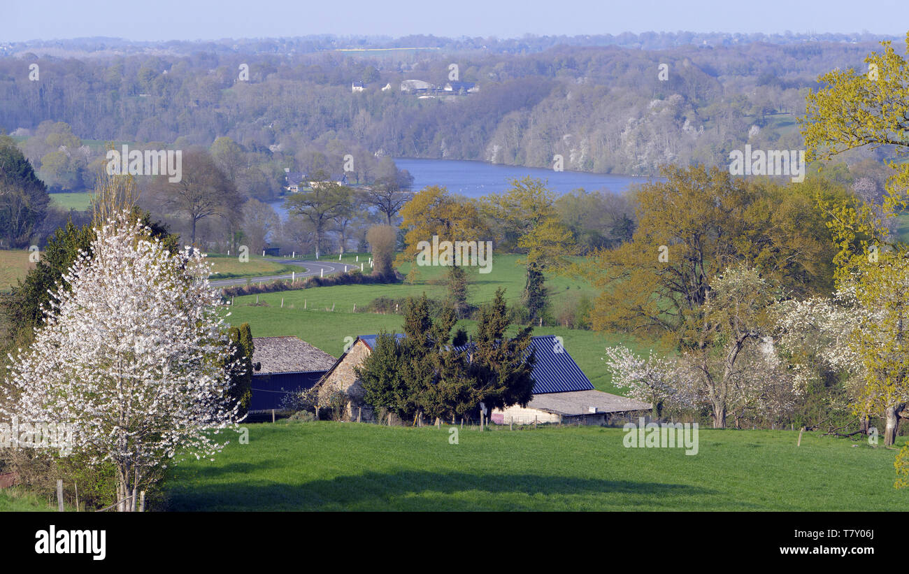 Molla di campagna boscosa con un lago (La Haie Traversaine, Nord Mayenne, Paese della Loira, Francia). Foto Stock