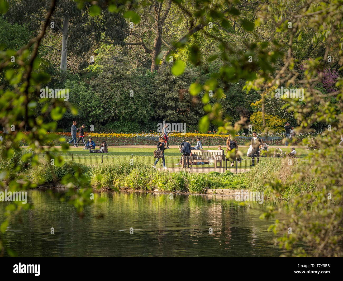 St James Park Lake, Londra, Regno Unito. Foto Stock