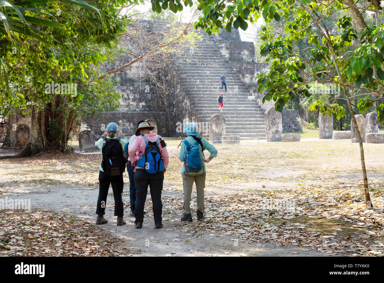 Tikal Guatemala, turisti nel complesso Q, salendo una piramide; le rovine maya di Tikal, sito patrimonio mondiale dell'UNESCO, Guatemala America Centrale Foto Stock