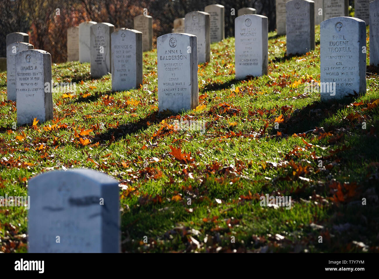 Le lapidi nel Cimitero di Arlington.Arlington.Virginia.USA Foto Stock