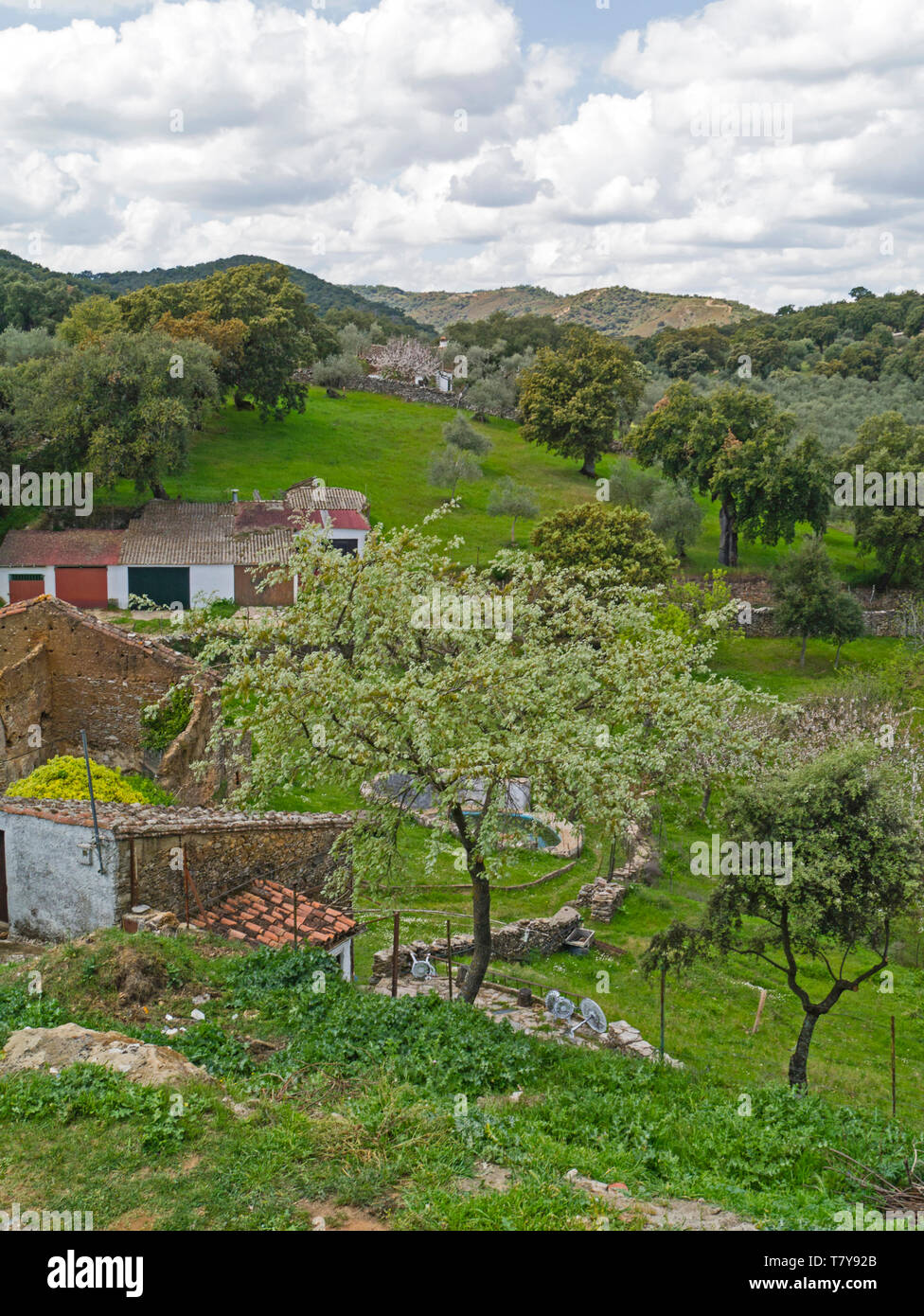 Sierra de Aracena, Heulva provincia, Andalusia,Spagna Foto Stock