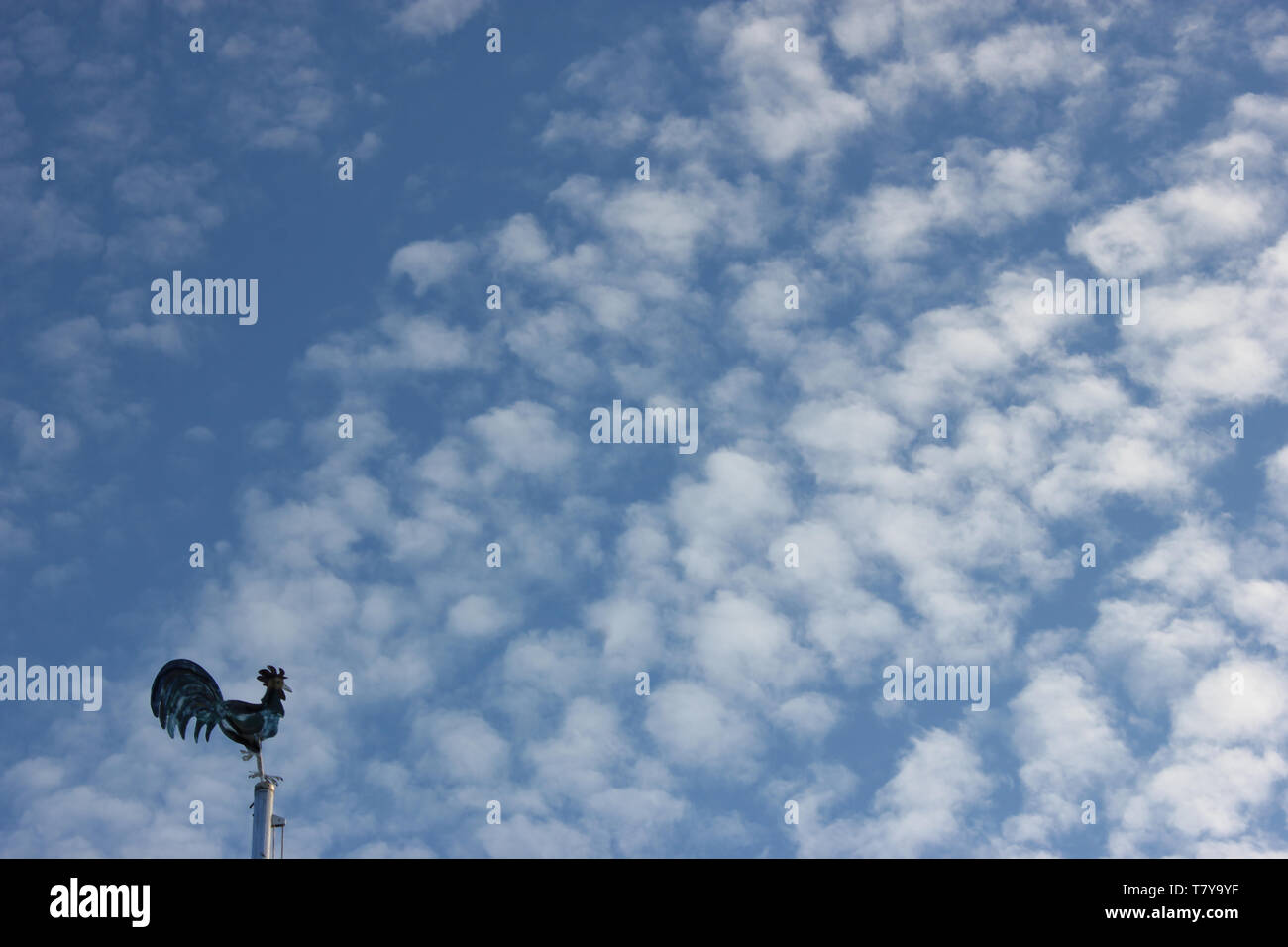 Weathercock tra le nuvole di lana di cotone di fronte al cielo blu. Foto Stock