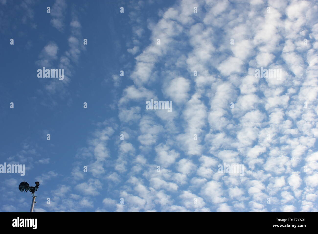 Soffice cotone idrofilo o sgombri di nuvole con piccolo segnavento in parte anteriore del cielo blu. Foto Stock