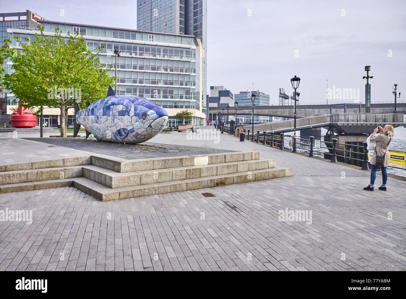 Il salmone della conoscenza scultura di Giovanni gentilezza in Donegall Quay, Belfast, Irlanda del Nord Foto Stock