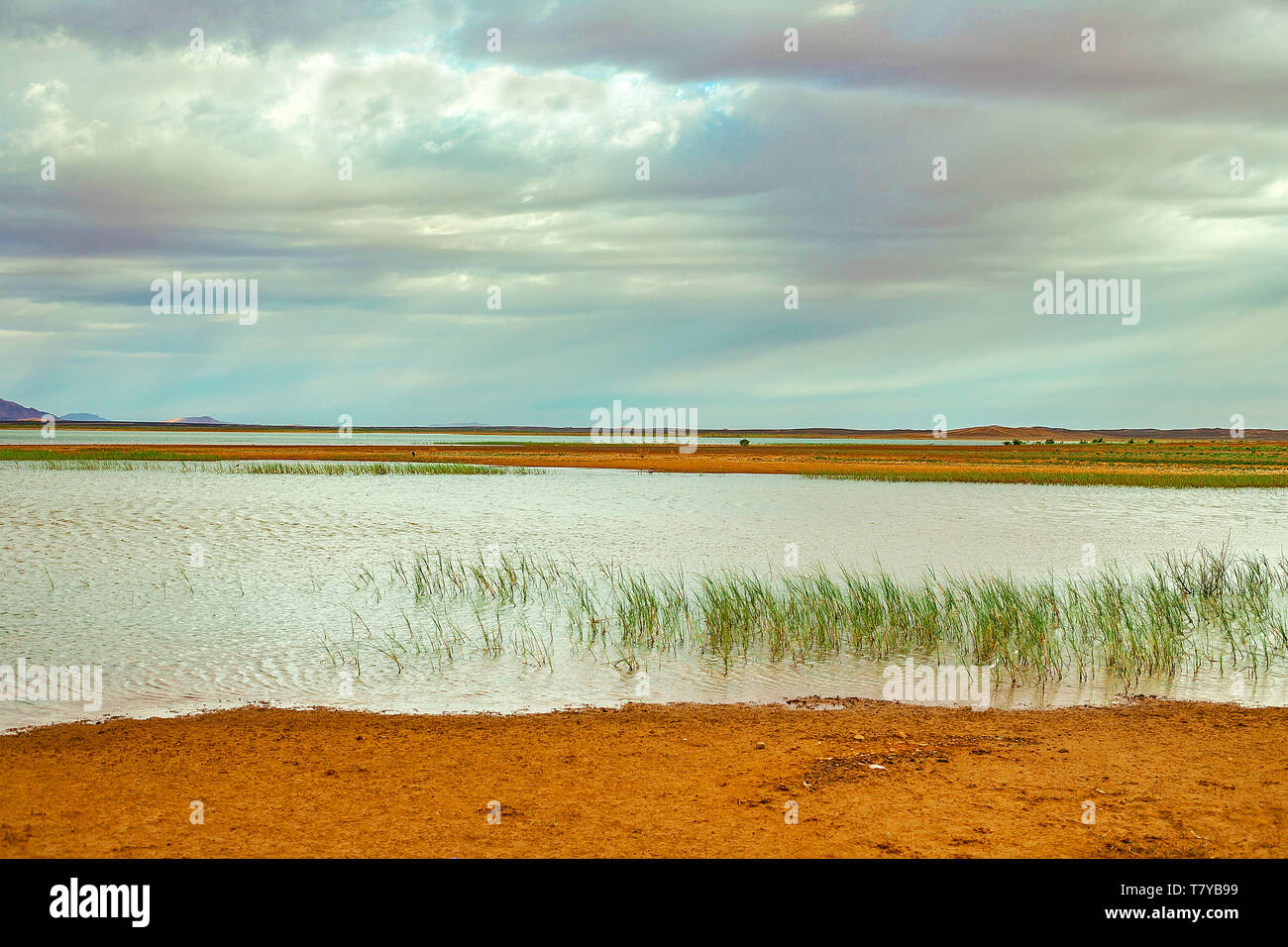 Il lago in Marocco all'alba ai piedi del deserto del Sahara. Il sole splende attraverso le nuvole. Foto Stock