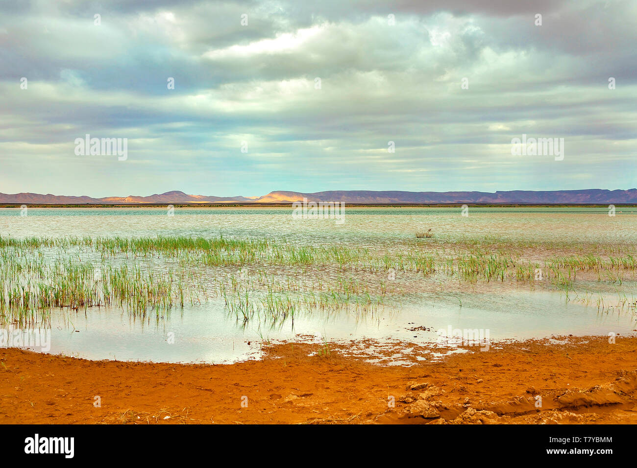 Il lago in Marocco all'alba ai piedi del deserto del Sahara. Il sole splende attraverso le nuvole. Foto Stock