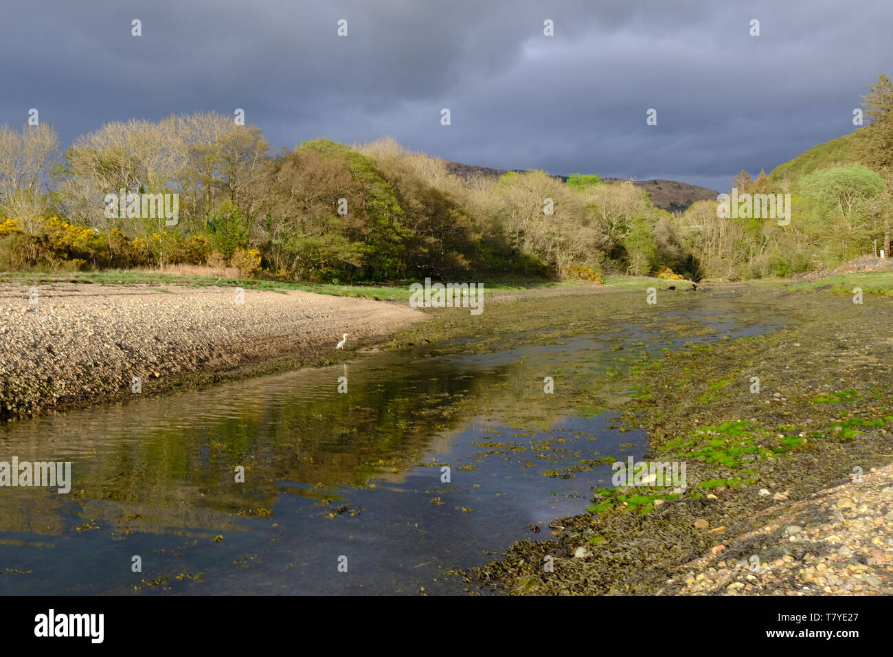 Il fiume Abhainn proprio al punto in cui incontra Loch Linnhe a Bunree in Scozia. Foto Stock