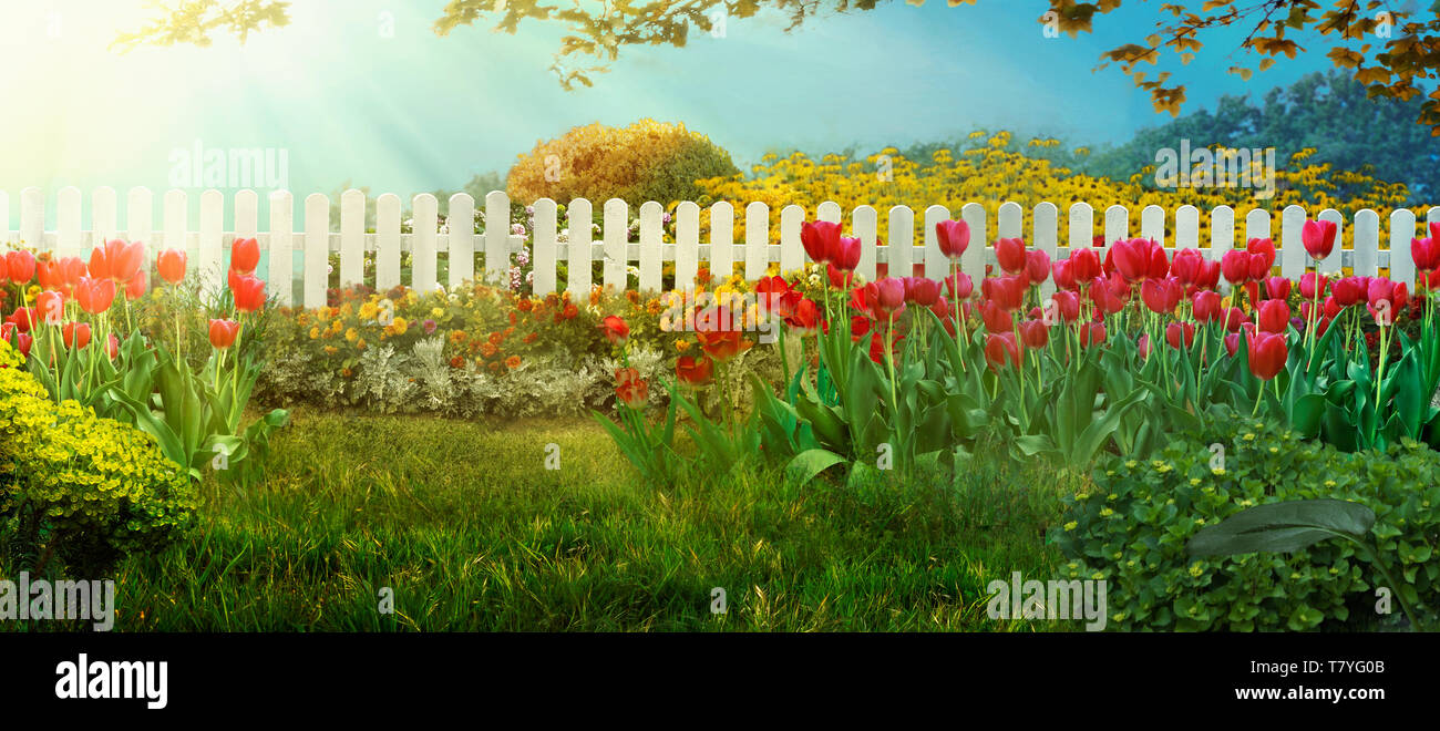 Spring Garden. Tulipani rossi nel giardino di erba di primavera con fiori Foto Stock