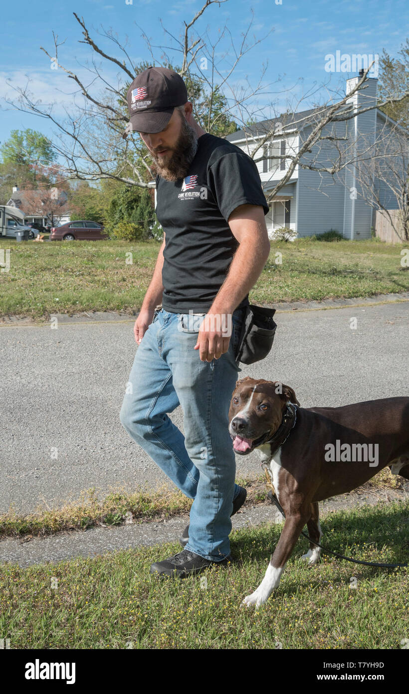 Rivoluzione canina dog trainer lavora con un cane. Summerville, Carolina del Sud. Foto Stock