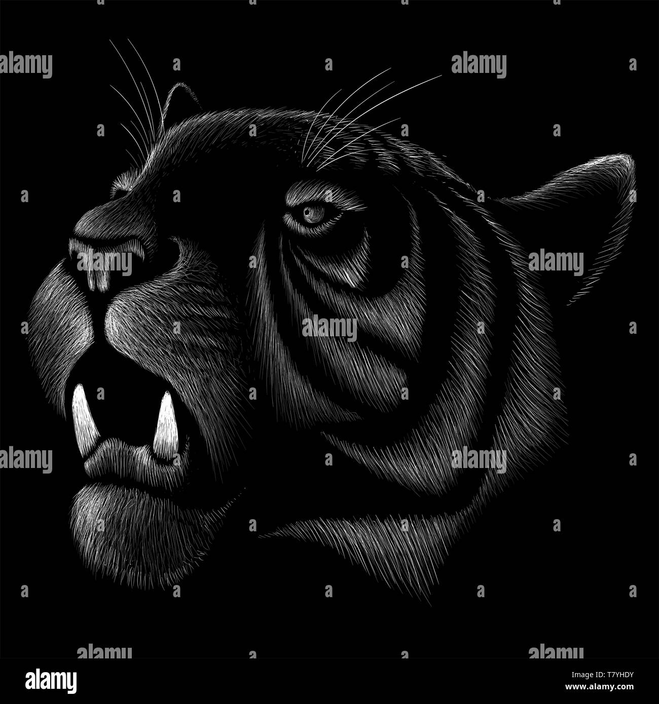 Il logo del vettore tiger per tatuaggio o T-shirt design o abbigliamento esterno. Stile di Caccia tigri stampa su sfondo nero. Foto Stock