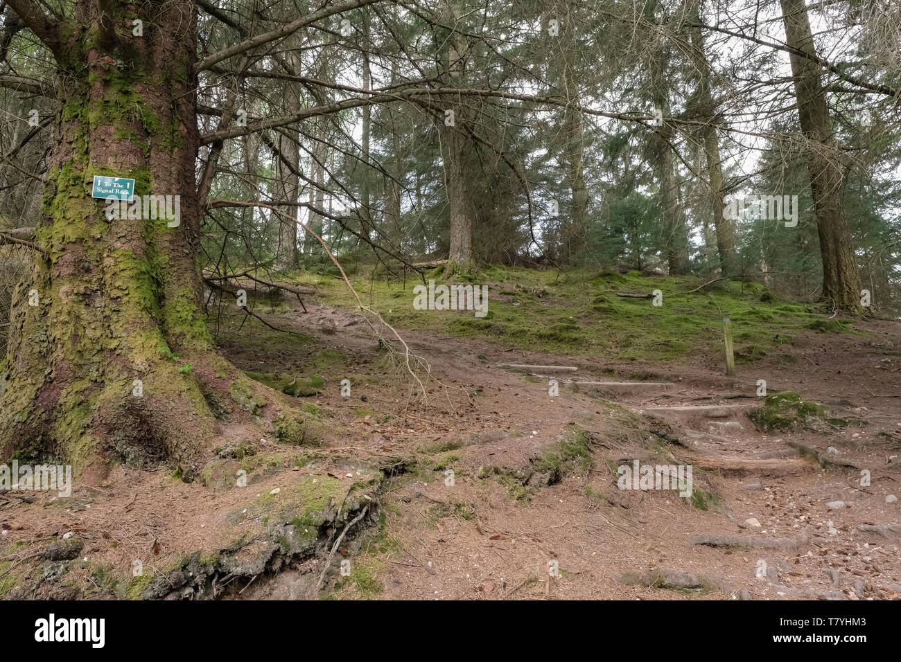 Segnale Rock, un Torr, Glencoe, Scotland Regno Unito Foto Stock