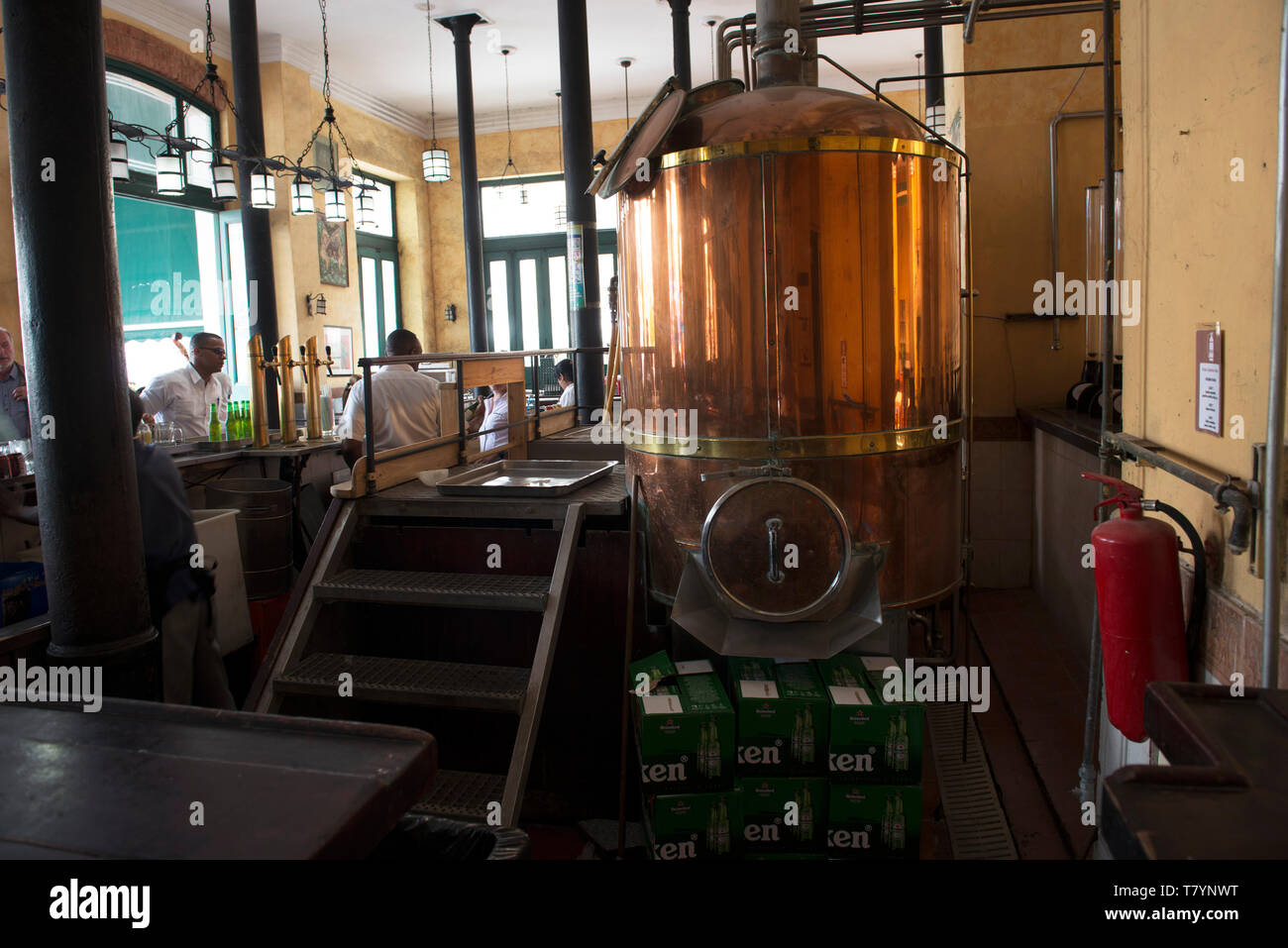 L'Avana, Cuba è una vibrante ma piuttosto decadendo capitale,turbato da embargo e gestito dal regime comunista,una micro birreria nella città vecchia Havana Foto Stock