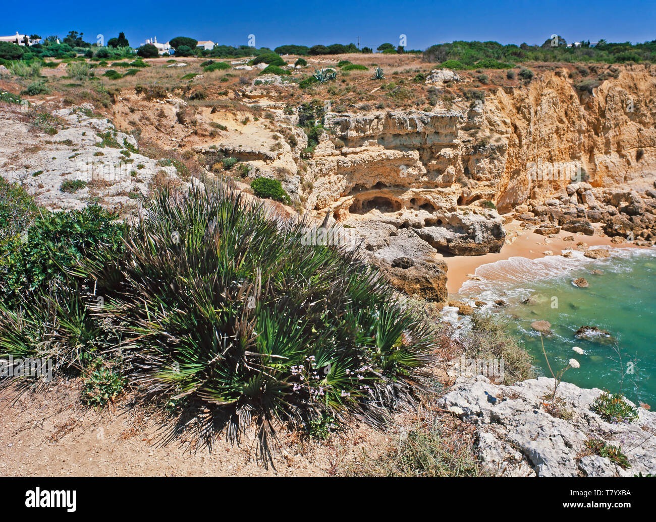 Algarve costa rocciosa nei pressi di Albufeira, Portogallo meridionale Foto Stock