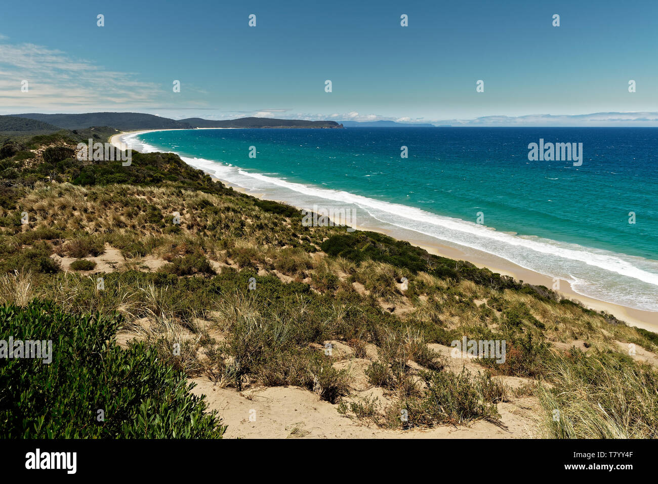 Paesaggio in Brunny Island in Tasmania, bella prenotazione nazionale in Australia. Foto Stock