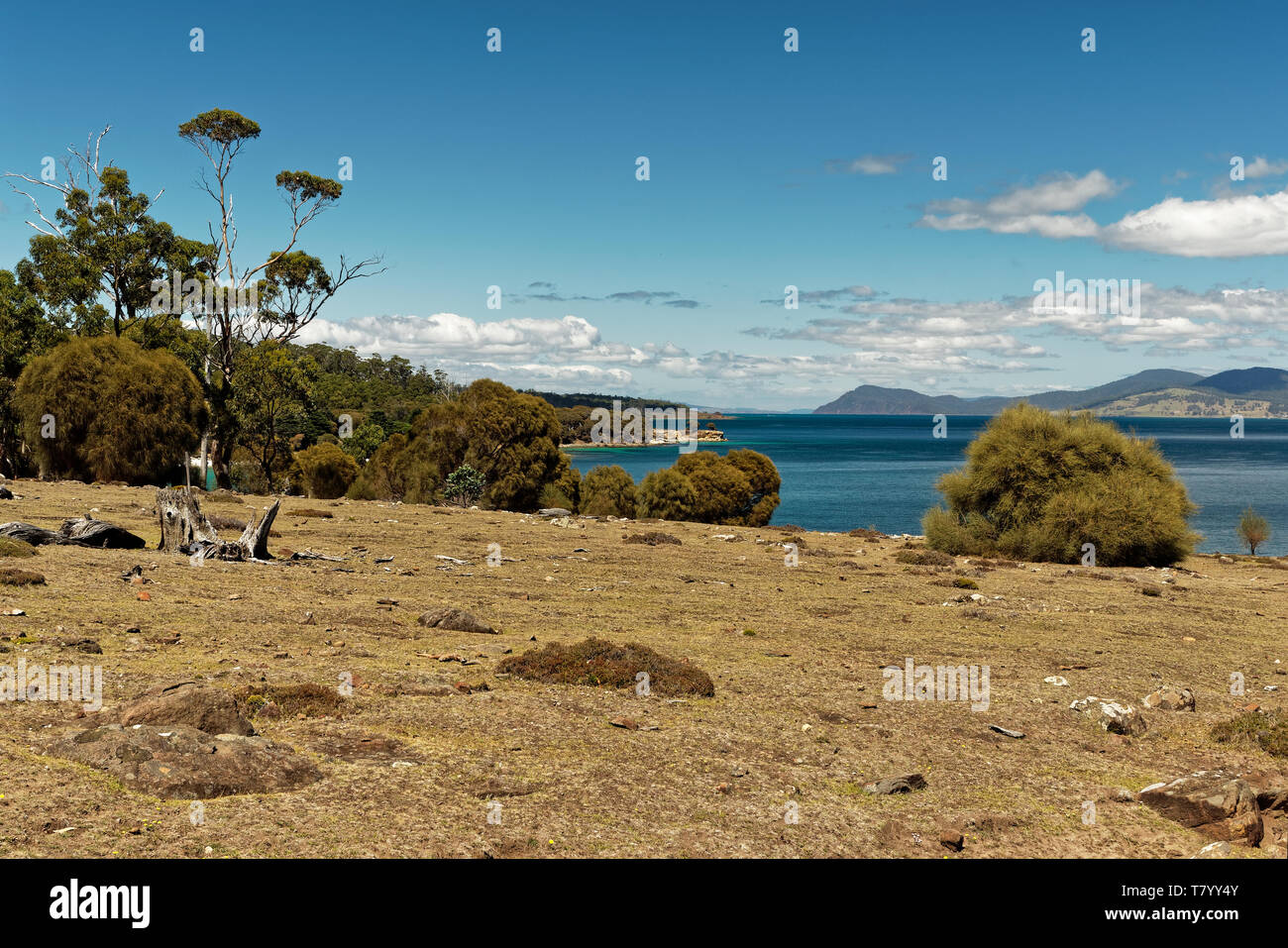 Paesaggio con la spiaggia di Maria Island in Tasmania, Prenotazione nazionale in Australia, bellissimo mare e paesaggi costieri. Foto Stock