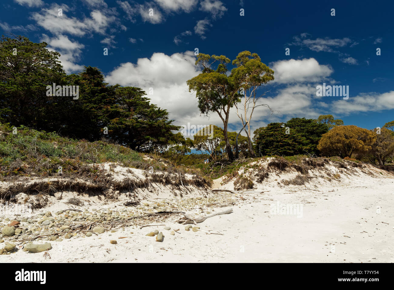 Paesaggio con la spiaggia di Maria Island in Tasmania, Prenotazione nazionale in Australia, bellissimo mare e paesaggi costieri. Foto Stock