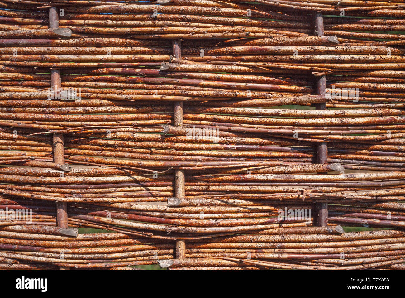 Hazel recinzione di bargiglio ostacoli, tessuto tradizionale staccionata in legno pannelli realizzati da cedui nocciolo (Corylus sp.) Foto Stock