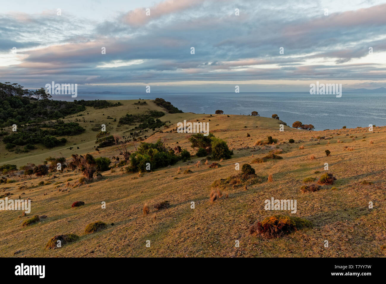 Paesaggio in Maria Island in Tasmania, Prenotazione nazionale in Australia, bellissimo mare e paesaggi costieri. Foto Stock