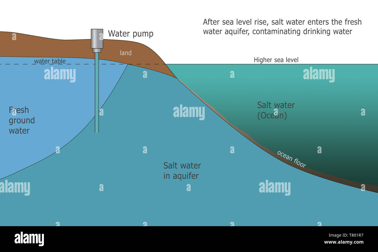 Intrusione salina, maggiore livello del mare, il cambiamento climatico, illustrazione Foto Stock