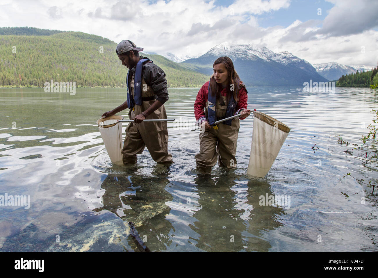 BioBlitz presso il Glacier NP Foto Stock