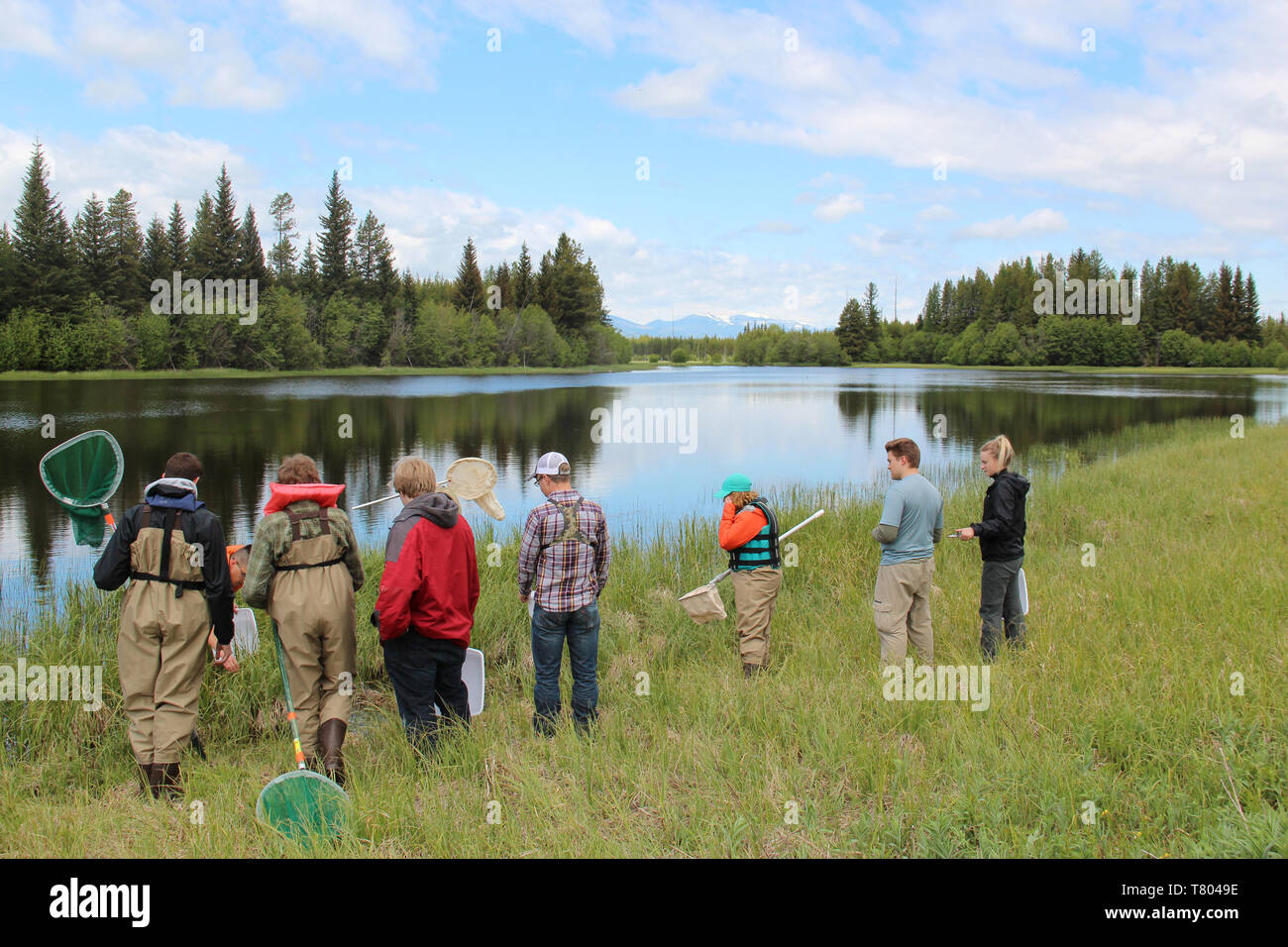 BioBlitz presso il Glacier NP Foto Stock