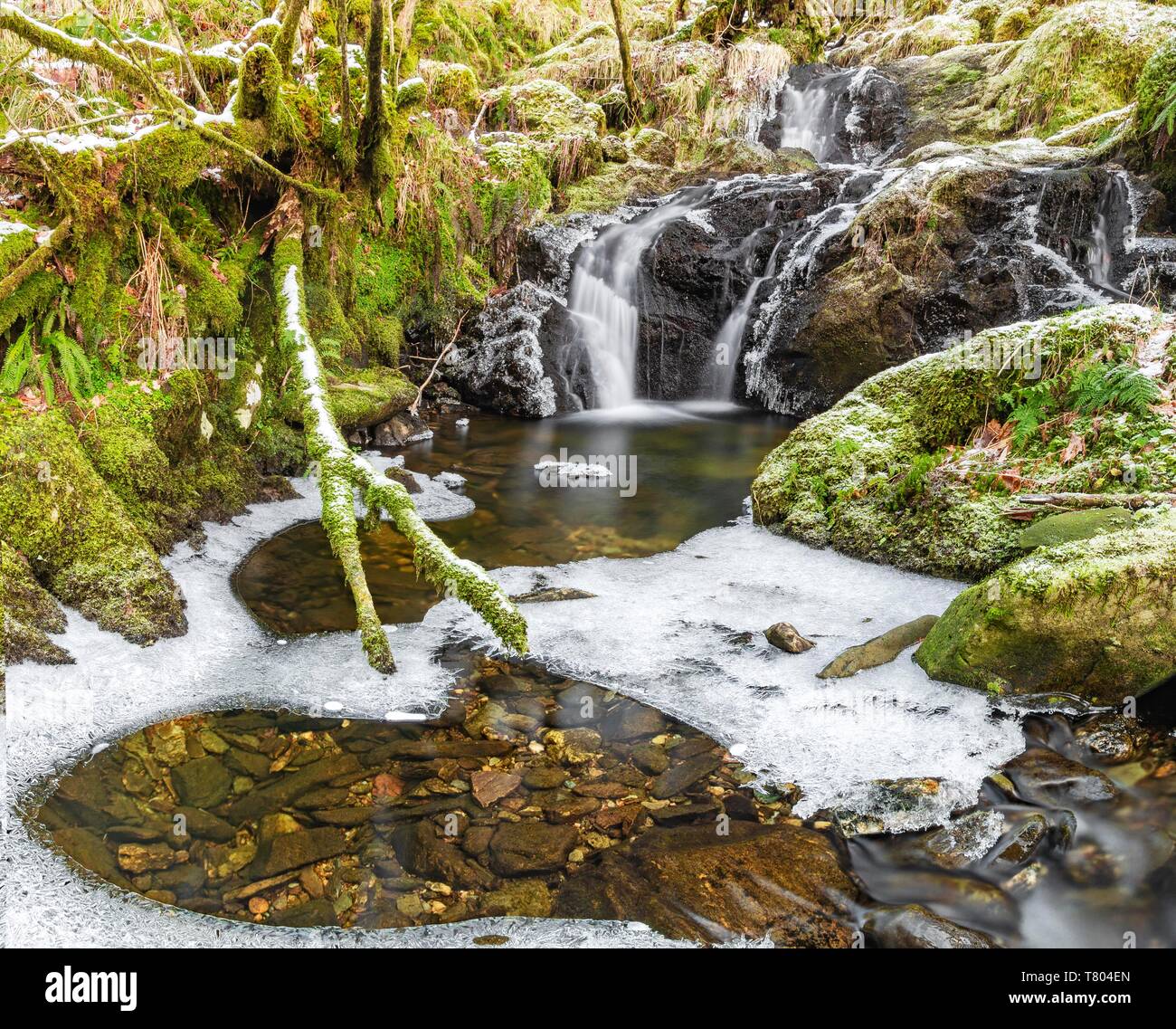 Loch Lomond e il Trossachs National Park, Queen Elizabeth Forest Park, Aberfoyle, Stirling, Argyll and Bute, Scotland, Regno Unito Foto Stock